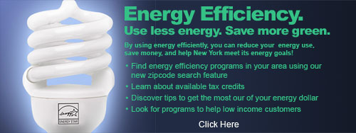 Visit our Energy Efficiency Website